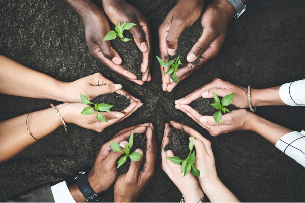 Our Legacy and Values